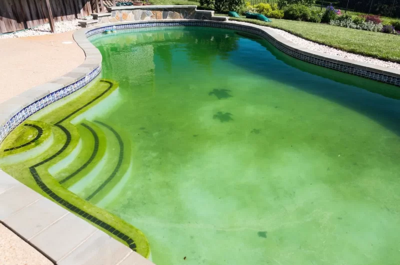 peut on se baigner dans une piscine trouble